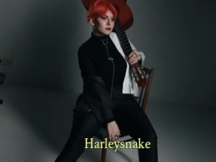 Harleysnake