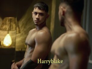 Harryblake