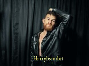 Harrybsmdirt