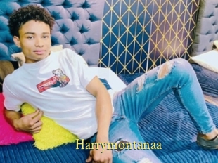 Harrymontanaa