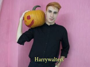 Harrywalters