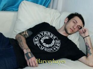 Harveyhayes