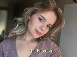 Heidynemzin