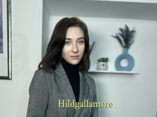 Hildgallamore
