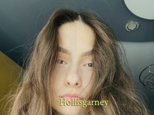 Hollisgarney