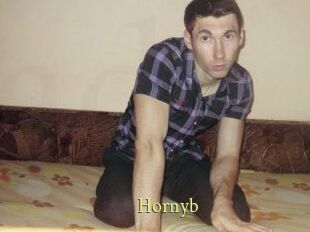 Hornyb