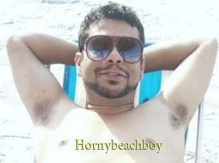 Hornybeachboy