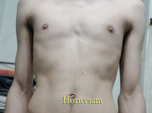 Hornysam