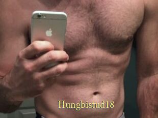 Hungbistud18