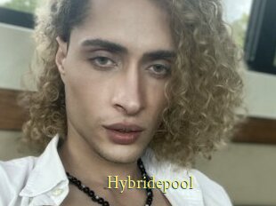 Hybridepool