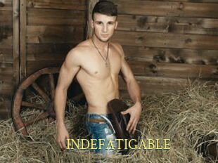 INDEFATIGABLE