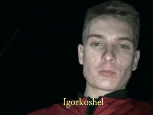 Igorkoshel