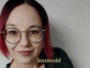 Inezmodel