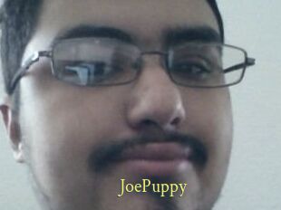 JoePuppy