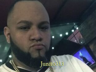 Junito313
