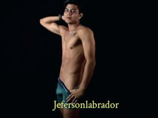 Jefersonlabrador