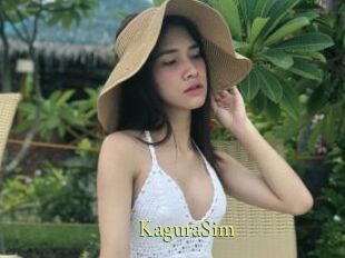 KaguraSim