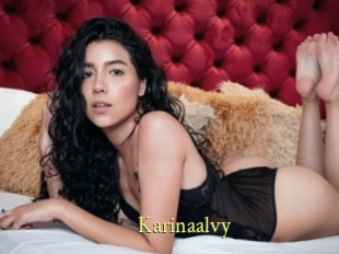 Karinaalvy