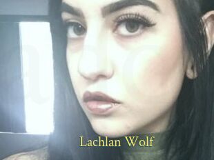 Lachlan_Wolf