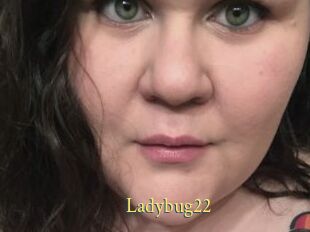 Ladybug22