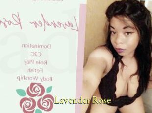 Lavender_Rose