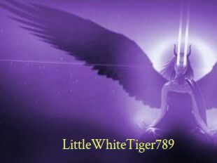 LittleWhiteTiger789