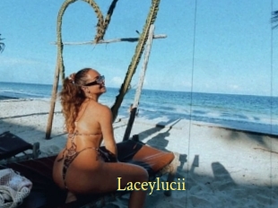 Laceylucii