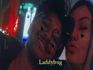 Laddybug