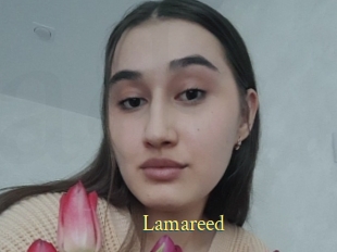 Lamareed
