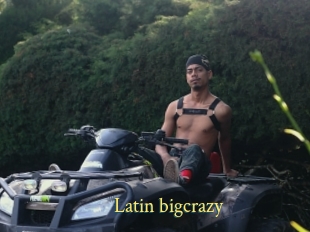 Latin_bigcrazy