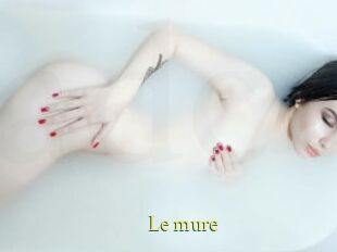 Le_mure