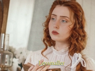 Leyamaller
