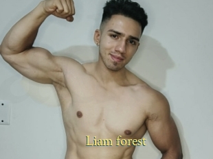 Liam_forest