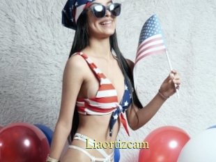 Liaortizcam