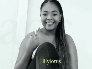 Lillylotus