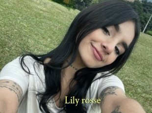 Lily_rosse