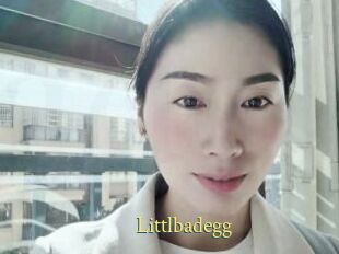 Littlbadegg
