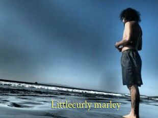 Littlecurly_marley