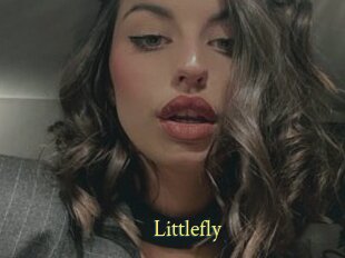 Littlefly