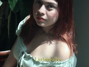 Littlemollys