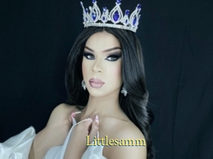 Littlesamm