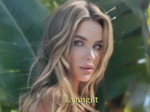 Lynngitt