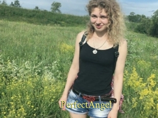 PerfectAngel