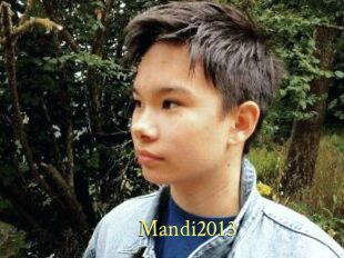Mandi2013