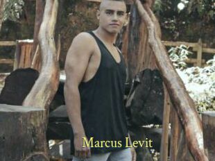 Marcus_Levit