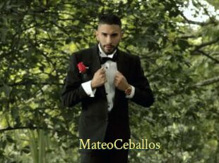 MateoCeballos
