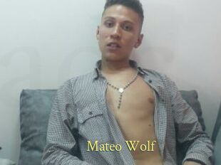 Mateo_Wolf