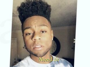 MeesLife