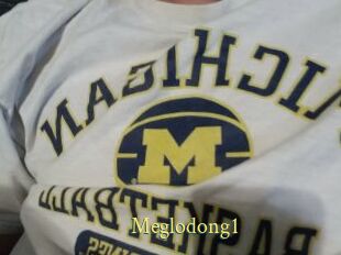 Meglodong1