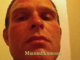 Minniedfknmouse